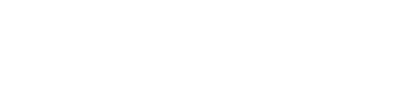 Testicon